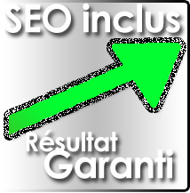 Seo Inclut Site Web Pro