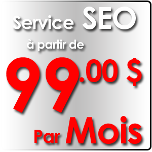 Seo Montreal 99$ par mois